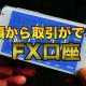少額から取引ができるFX口座